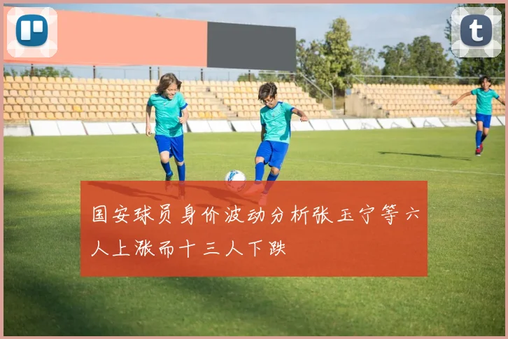 国安球员身价波动分析张玉宁等六人上涨而十三人下跌